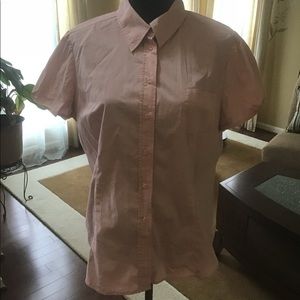 Pale Pink Blouse